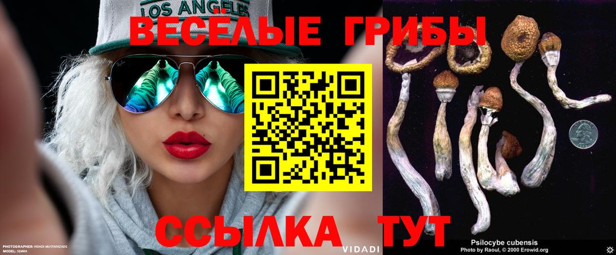 Нефтекумск  Галлюциногенные грибы Magic Shrooms  Псилоцибиновые грибы Psilocybe  Вход с VPN 