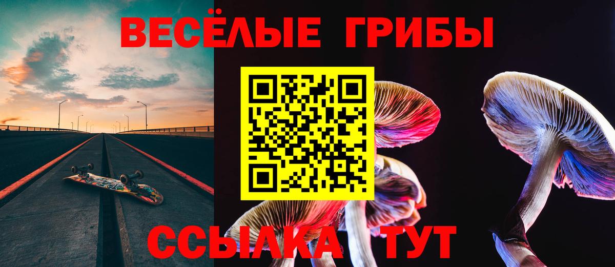 Псилоцибиновые грибы GOLDEN TEACHER Нефтекумск
